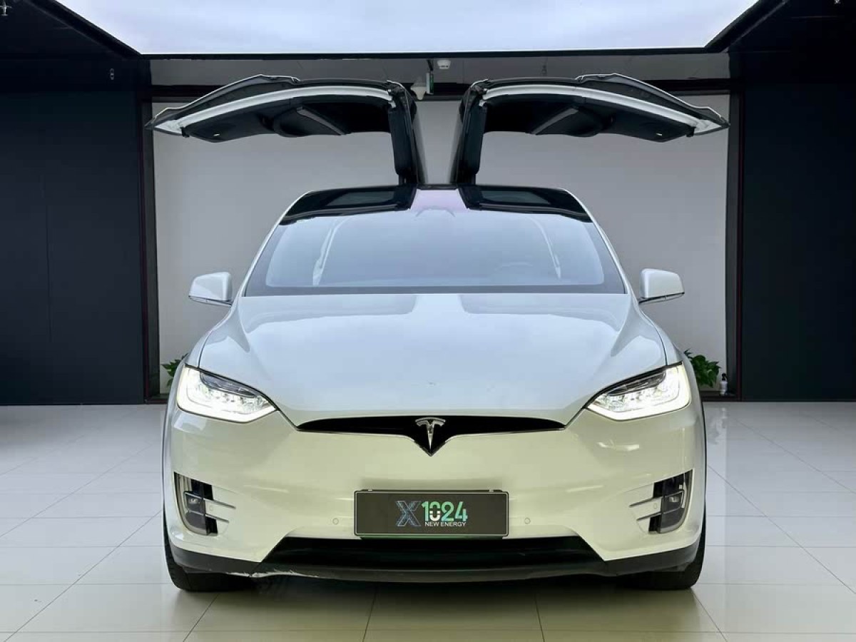 特斯拉 Model X  2019款 長續(xù)航版圖片