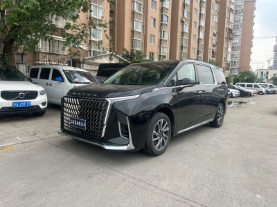 2023年3月 上汽大通 上汽大通MAXUS G90 2.0T 星際七座版圖片