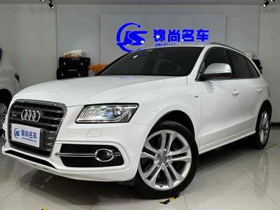 2014年3月 奧迪 奧迪SQ5(進(jìn)口) SQ5 3.0 TFSI quattro圖片