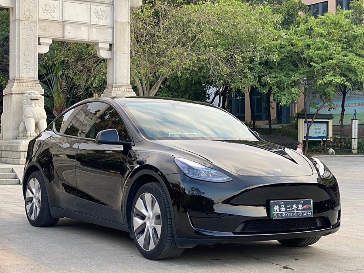 特斯拉 Model 3  2020款 改款 長續(xù)航后輪驅(qū)動(dòng)版圖片