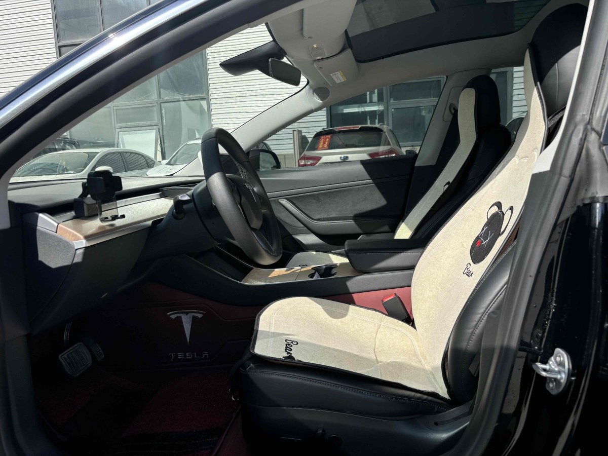 特斯拉 Model 3  2019款 標準續(xù)航后驅(qū)升級版圖片