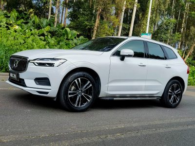 2019年5月 沃爾沃 XC60 T5 四驅智遠版 國VI圖片