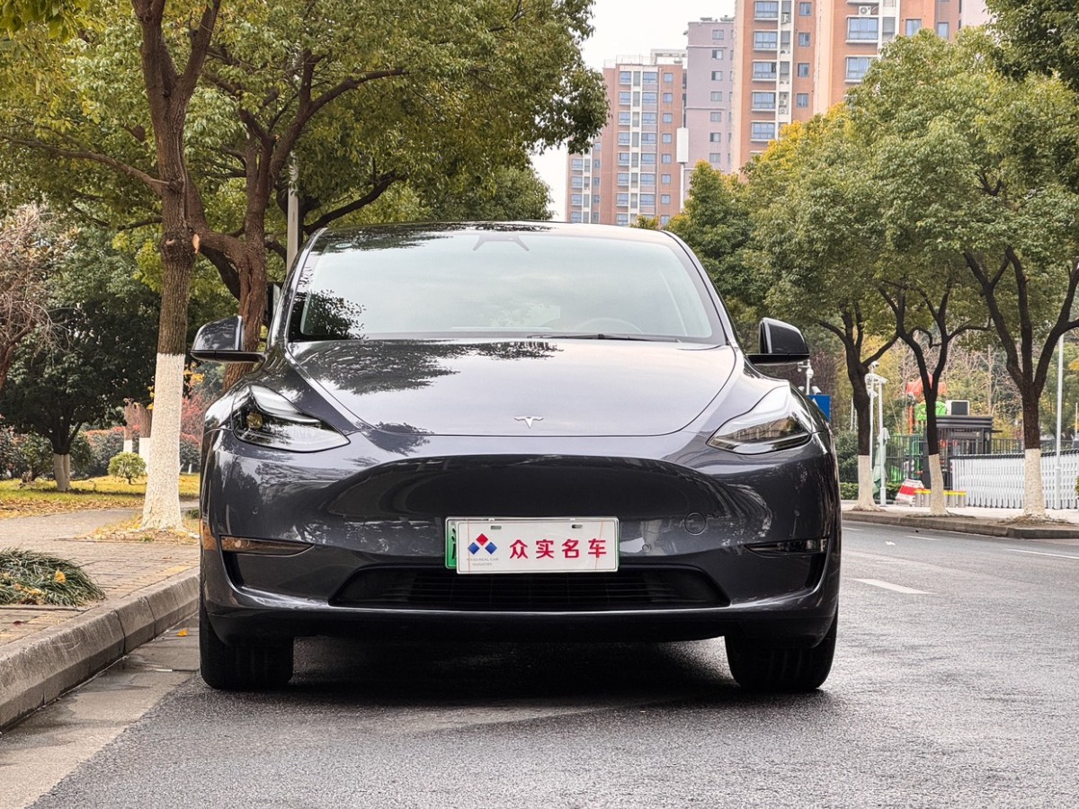 2021年12月特斯拉 特斯拉 Model Y 2021款 標(biāo)準(zhǔn)續(xù)航后驅(qū)版