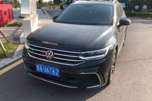途觀L 大眾 300TSI 自動(dòng)兩驅(qū)智享版