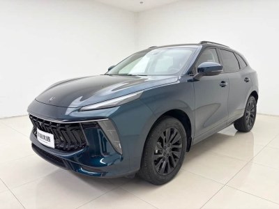 2021年10月 東風(fēng)風(fēng)行 風(fēng)行T5 EVO 1.5TD DCT鉆石版圖片
