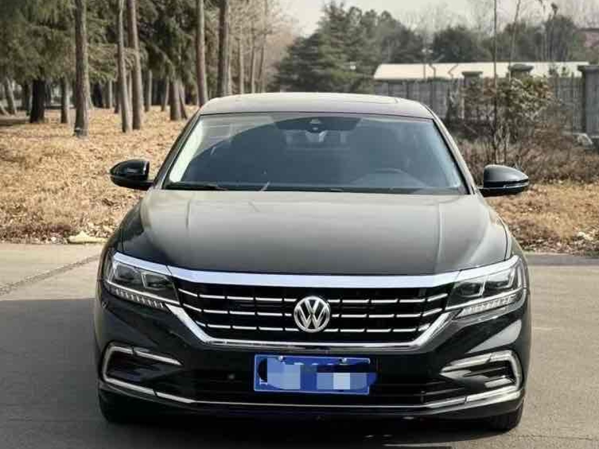 大眾 帕薩特  2021款 330TSI 豪華版圖片