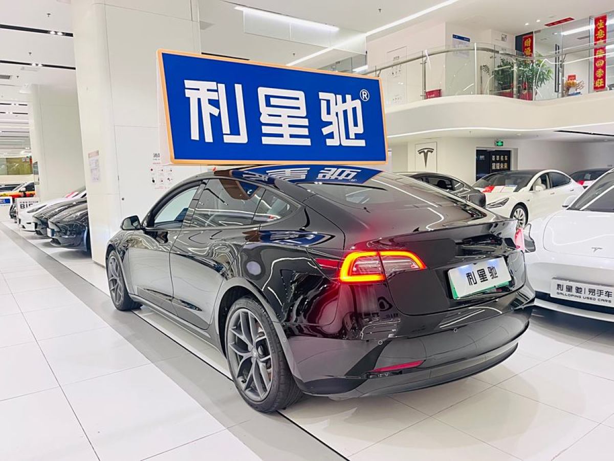 特斯拉 Model 3  2022款 Performance高性能全輪驅(qū)動(dòng)版圖片