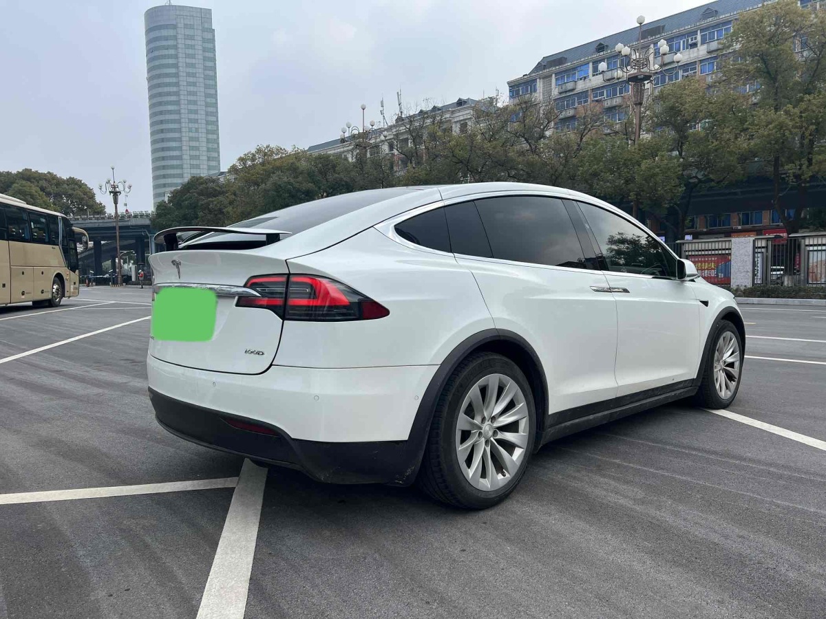 特斯拉 Model X  2017款 Model X 100D 長續(xù)航版圖片