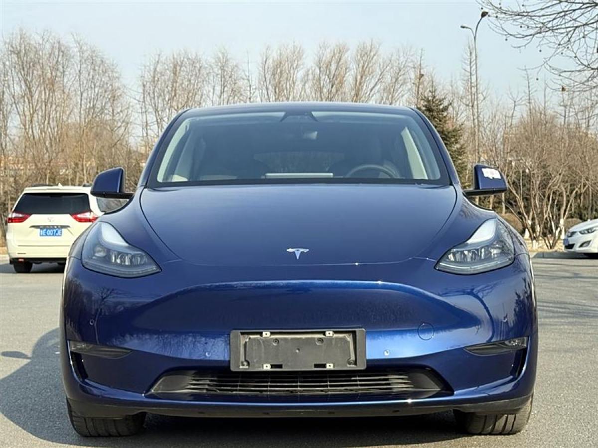 特斯拉 Model Y  2021款 改款 長續(xù)航全輪驅(qū)動版圖片