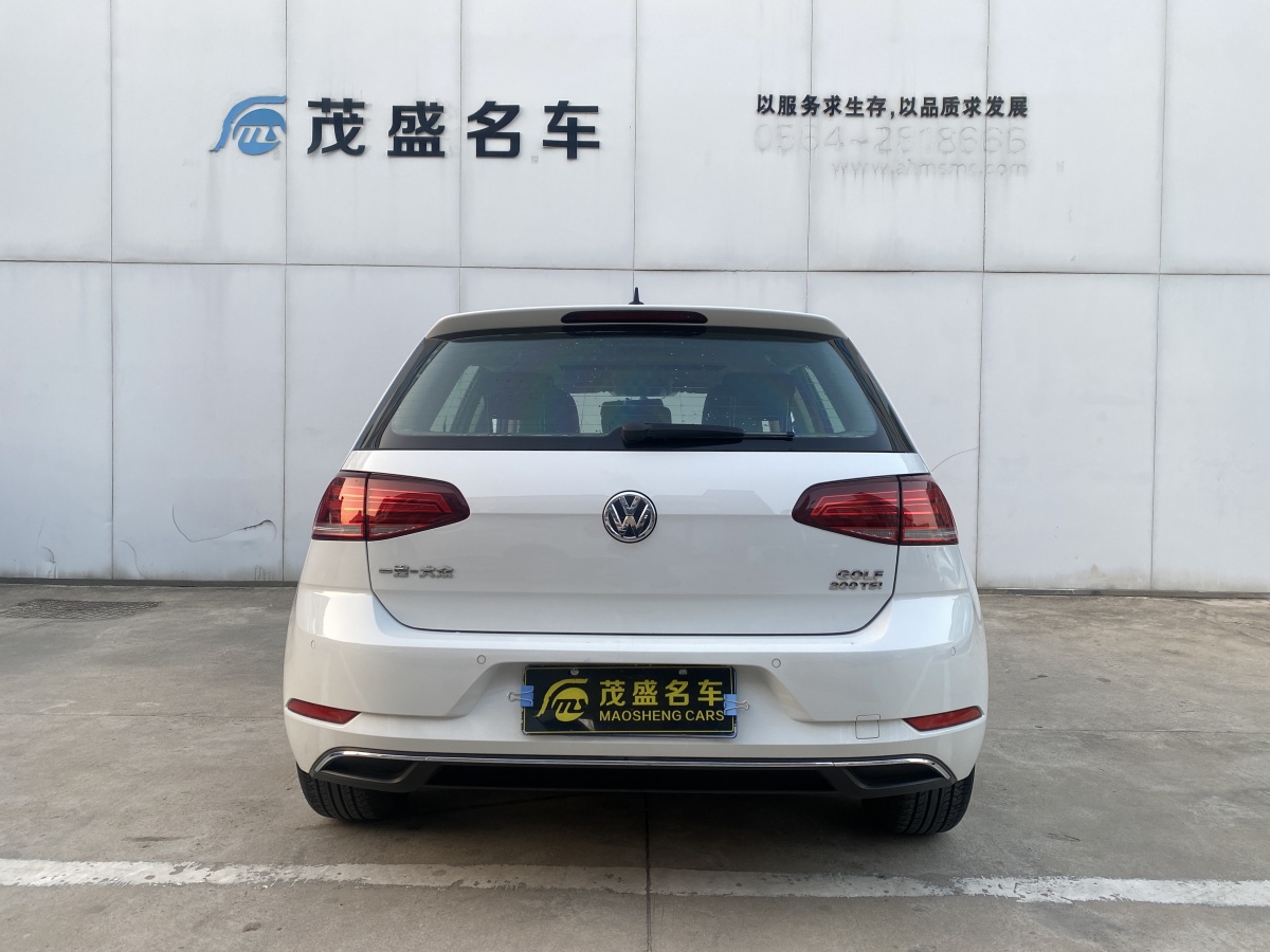 大眾 高爾夫  2019款  200TSI DSG舒適型 國(guó)VI圖片