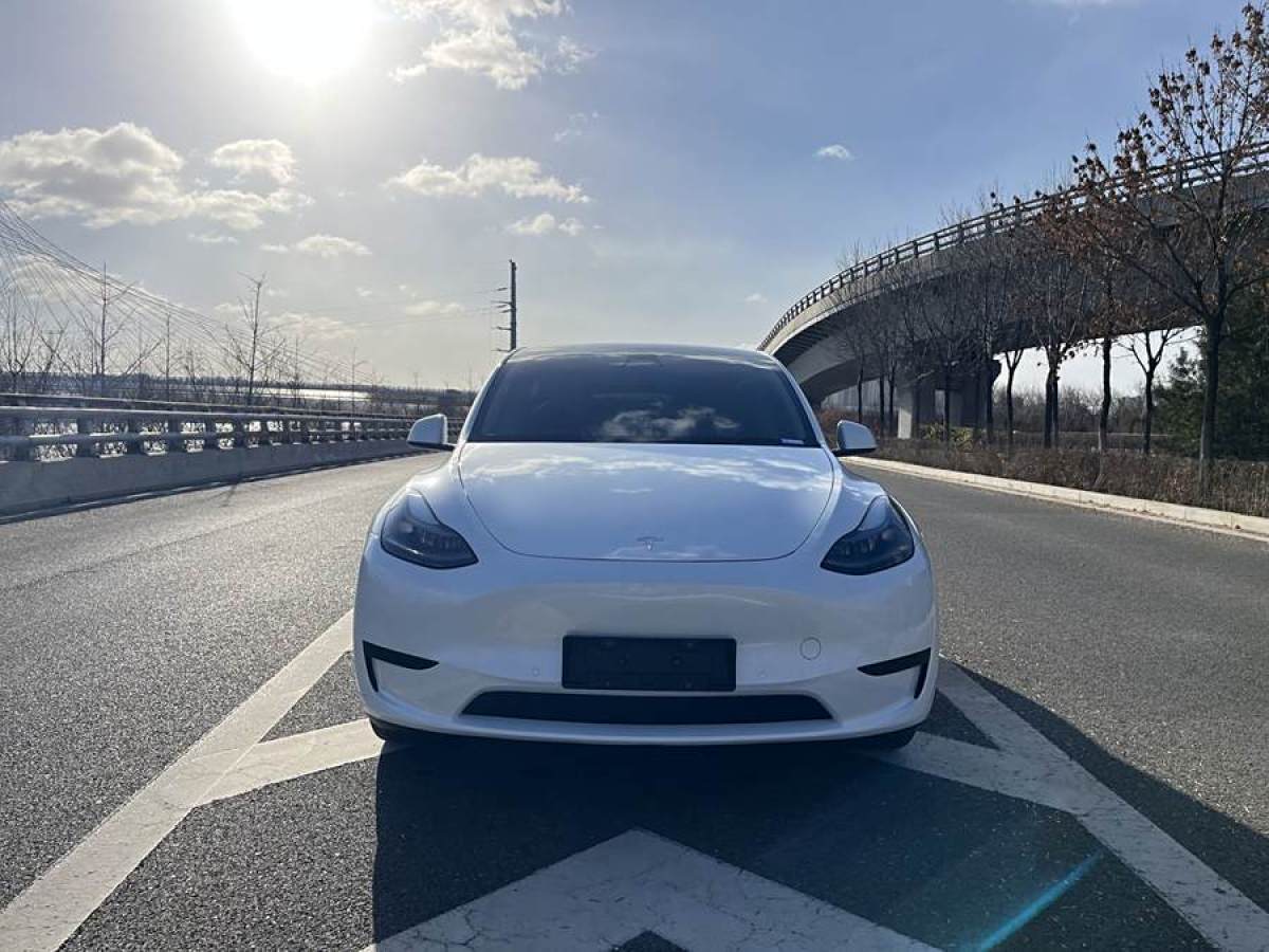 特斯拉 Model 3  2023款 煥新版 后輪驅(qū)動圖片