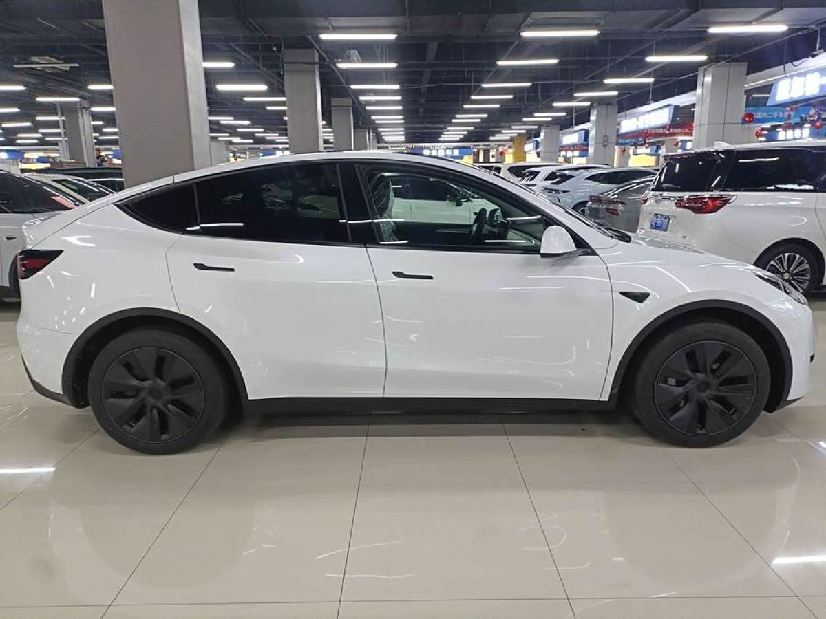 特斯拉 Model 3  2020款 改款 長(zhǎng)續(xù)航后輪驅(qū)動(dòng)版圖片