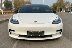 Model 3 特斯拉 标准续航后驱升级版