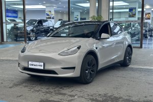 Model Y 特斯拉 改款 长续航后轮驱动版