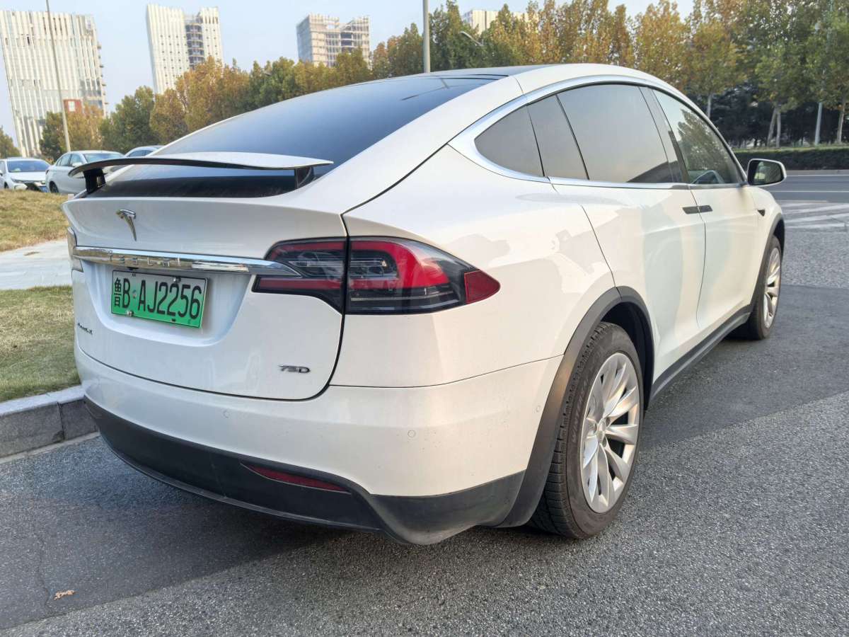 特斯拉 Model X  2016款 Model X 75D圖片