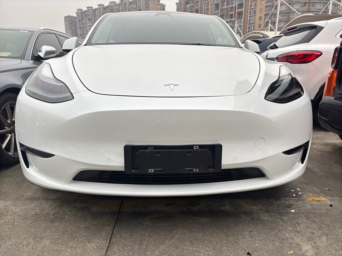 特斯拉 Model 3  2021款 改款 標(biāo)準(zhǔn)續(xù)航后驅(qū)升級(jí)版圖片