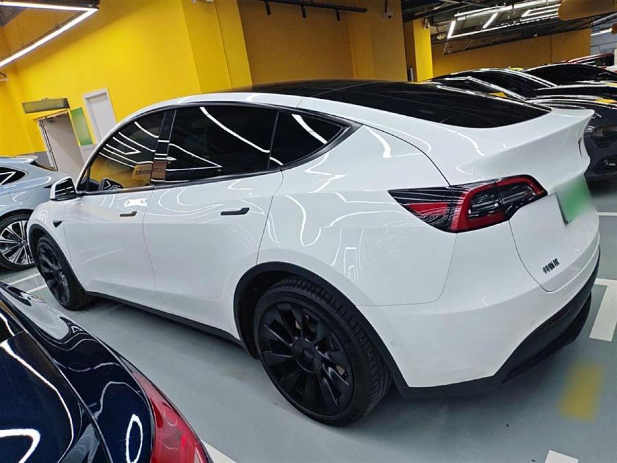 特斯拉 Model Y  2020款 改款 長續(xù)航后輪驅(qū)動版圖片