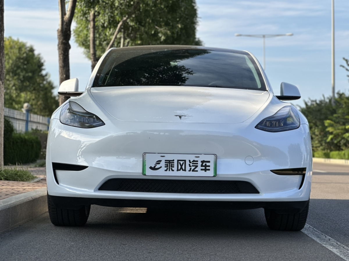 特斯拉 Model 3  2024款 后轮驱动版图片