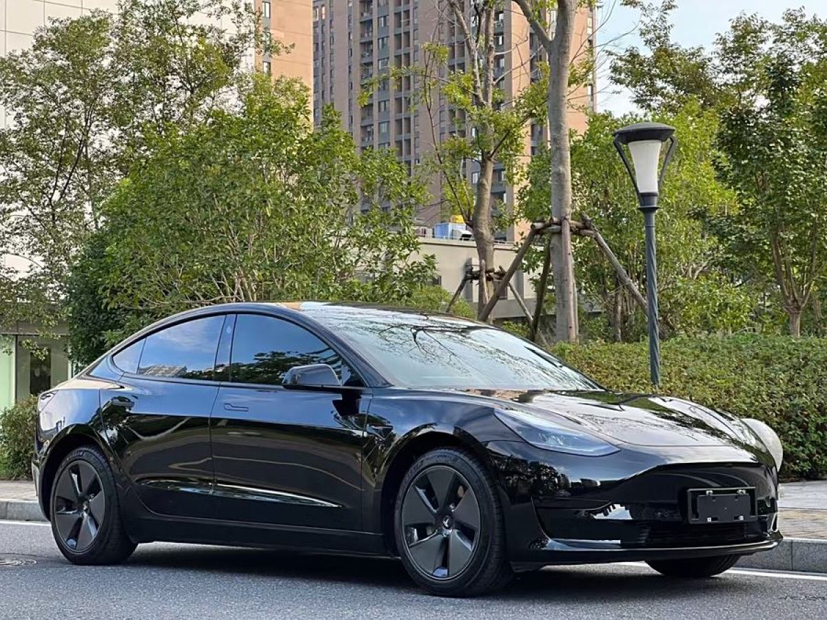 特斯拉 Model 3  2019款 標準續(xù)航后驅升級版圖片