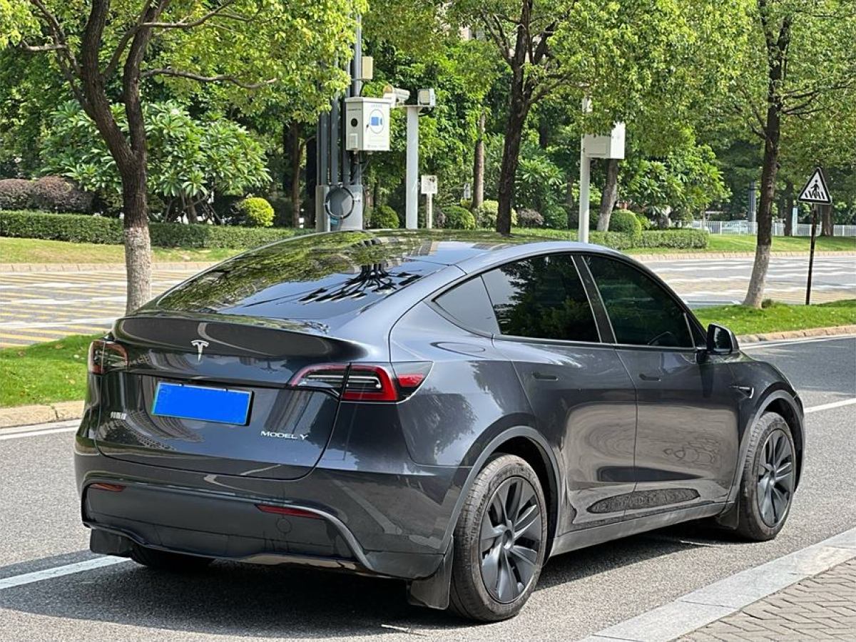 特斯拉 Model Y  2020款 改款 長(zhǎng)續(xù)航后輪驅(qū)動(dòng)版圖片