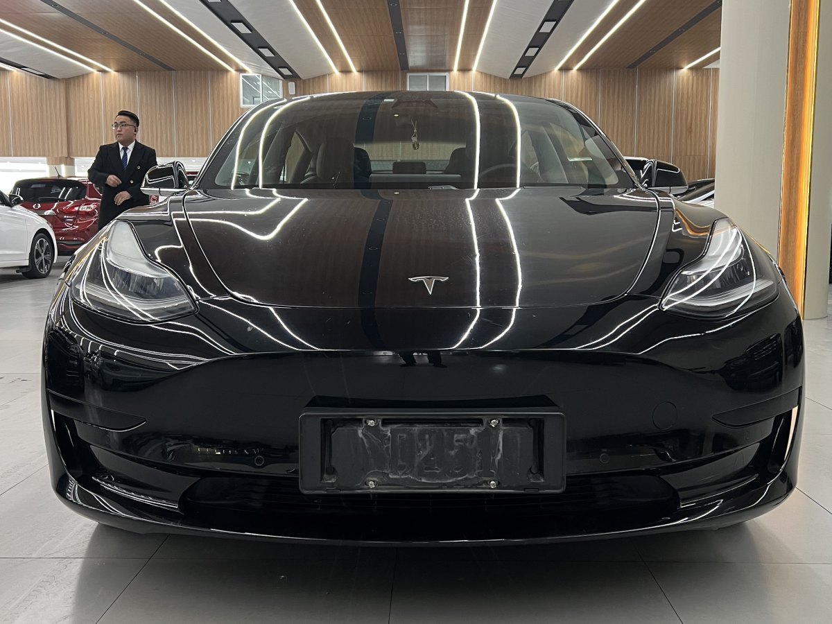 2021年1月特斯拉 Model 3  2020款 改款 標(biāo)準(zhǔn)續(xù)航后驅(qū)升級(jí)版