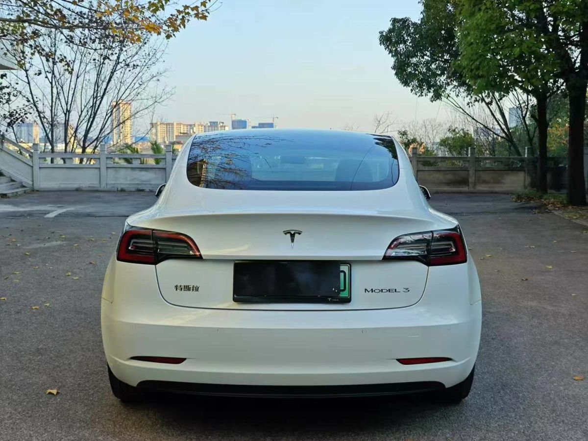 特斯拉 Model Y  2021款 標(biāo)準(zhǔn)續(xù)航后驅(qū)版圖片