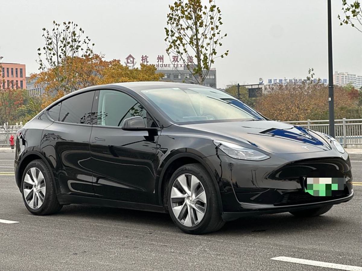 特斯拉 Model 3  2022款 后輪驅(qū)動版圖片