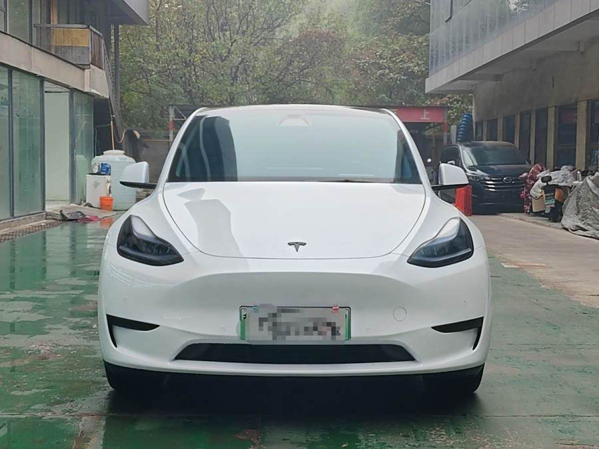 特斯拉 Model Y  2020款 改款 長續(xù)航后輪驅動版圖片