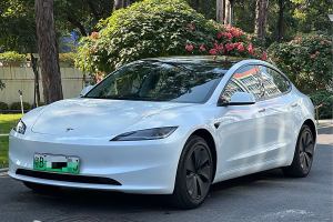 Model Y 特斯拉 后輪驅(qū)動版