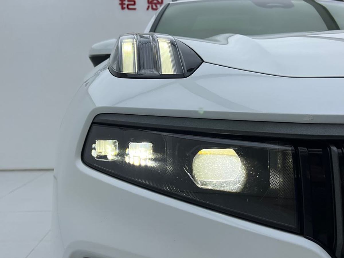 領(lǐng)克 領(lǐng)克09新能源  2021款 2.0T PHEV Ultra 六座圖片