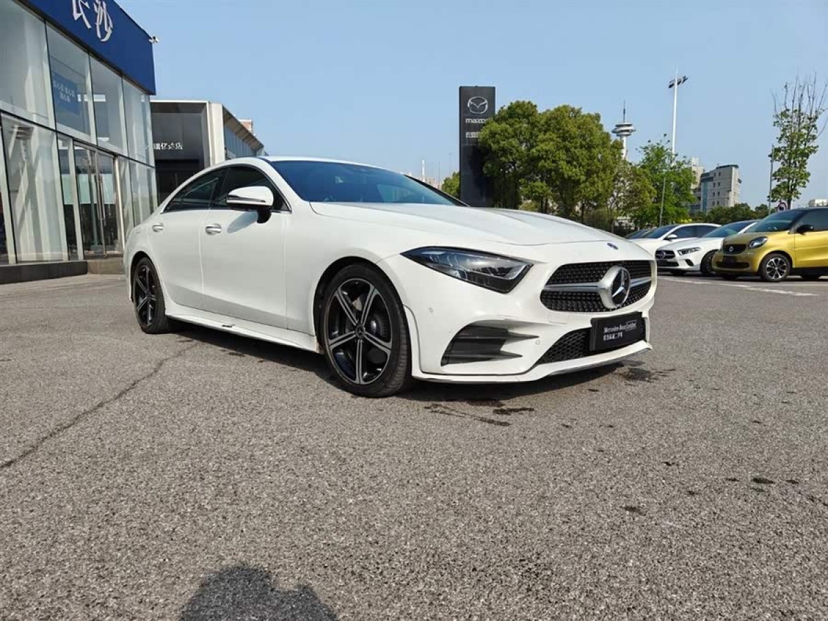 奔馳 奔馳CLS級  2020款 CLS 300 豪華型圖片
