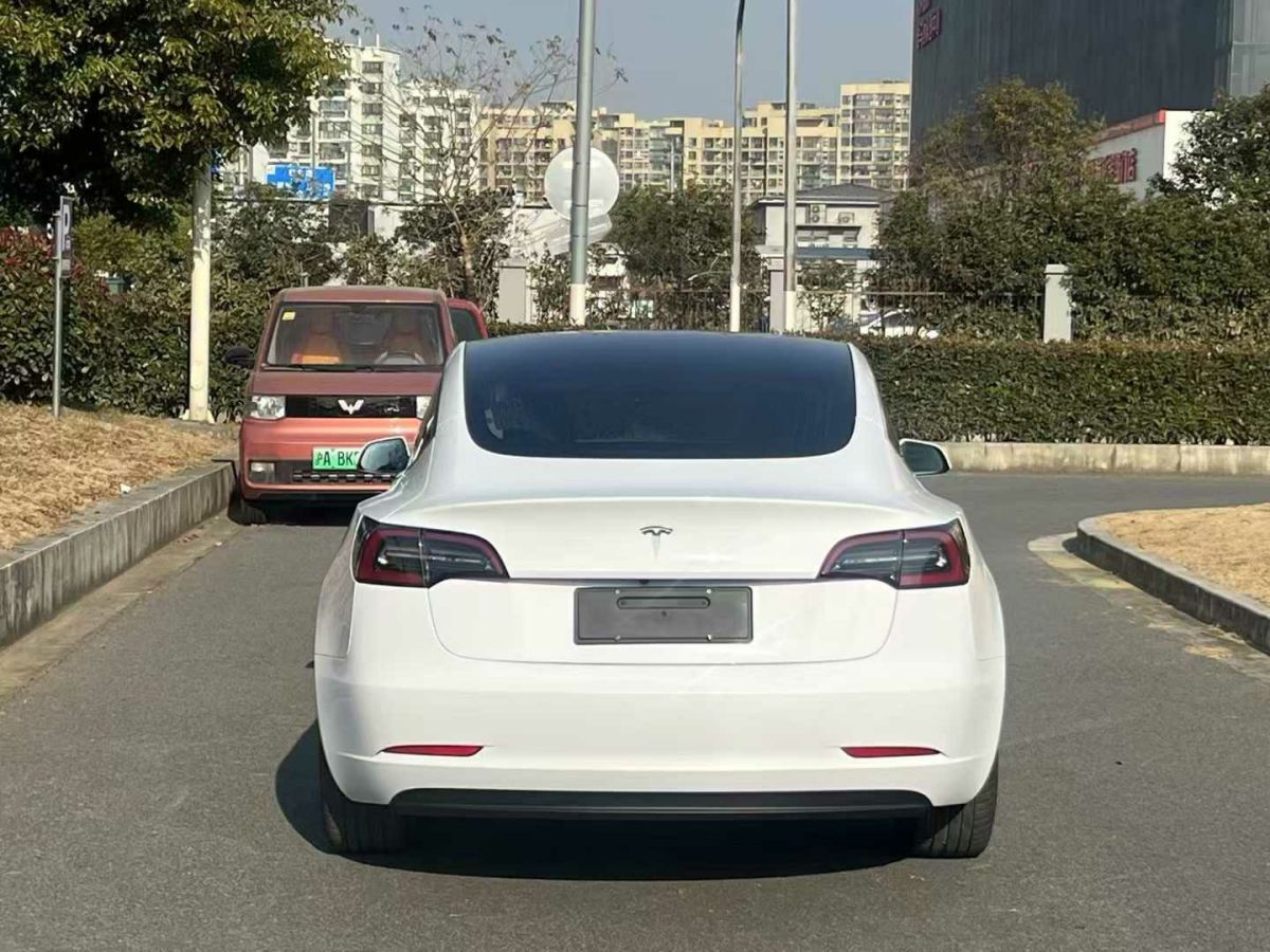 特斯拉 Model X  2020款 Performance 高性能版圖片