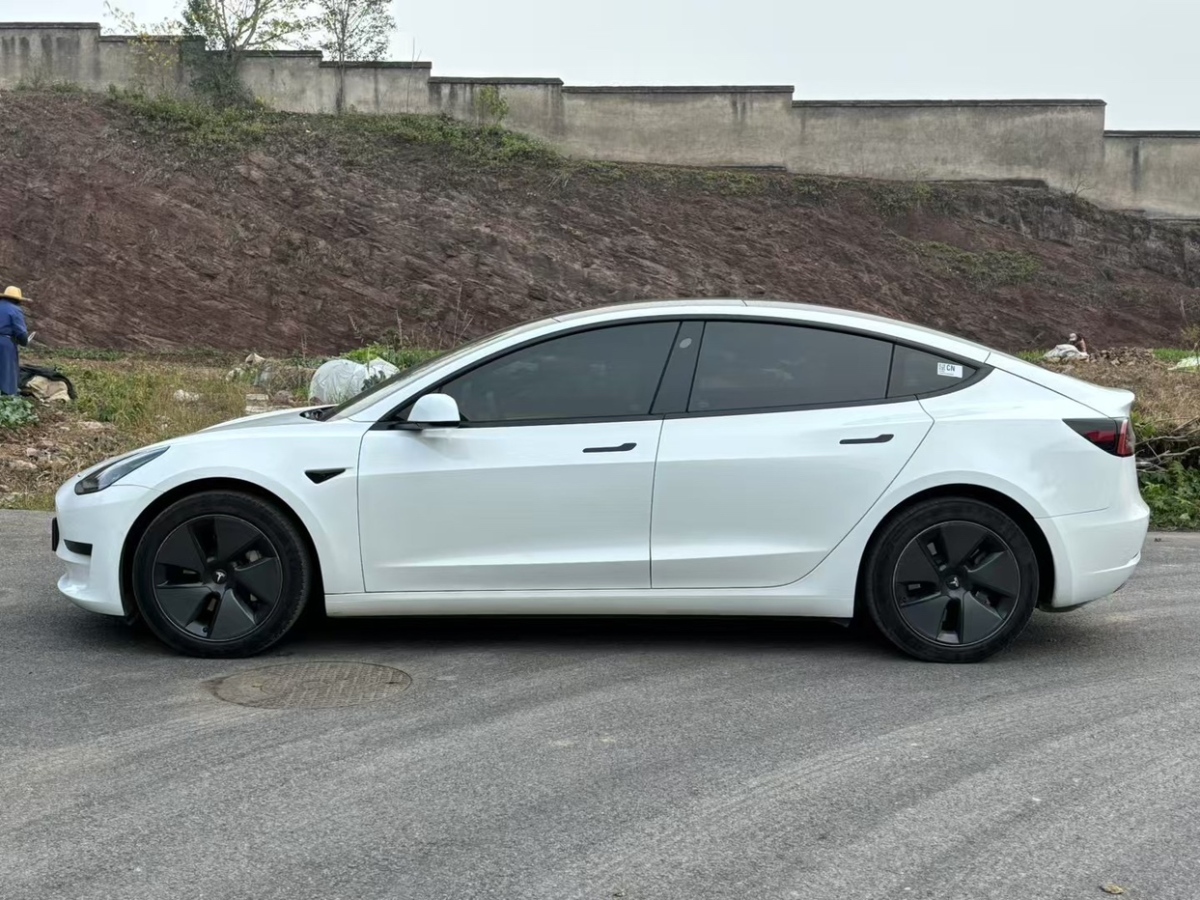 特斯拉 Model 3  2022款 后輪驅(qū)動版圖片