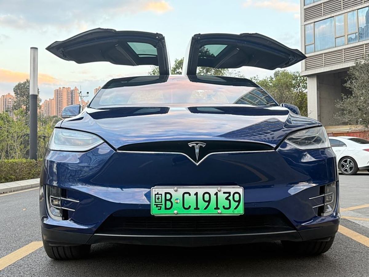 特斯拉 Model X  2017款 Model X 100D 長續(xù)航版圖片