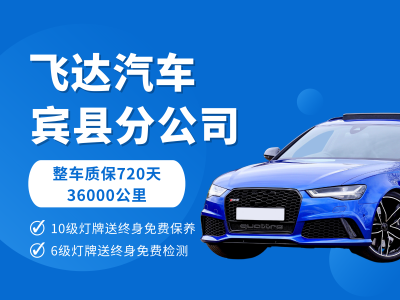 2019年1月 現(xiàn)代 領(lǐng)動 1.6L 自動15周年特別版圖片