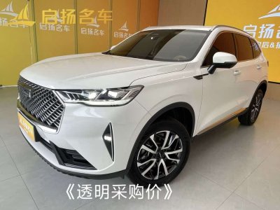 2024年9月 哈弗 H6 第三代 1.5T 自動(dòng)兩驅(qū)Max圖片