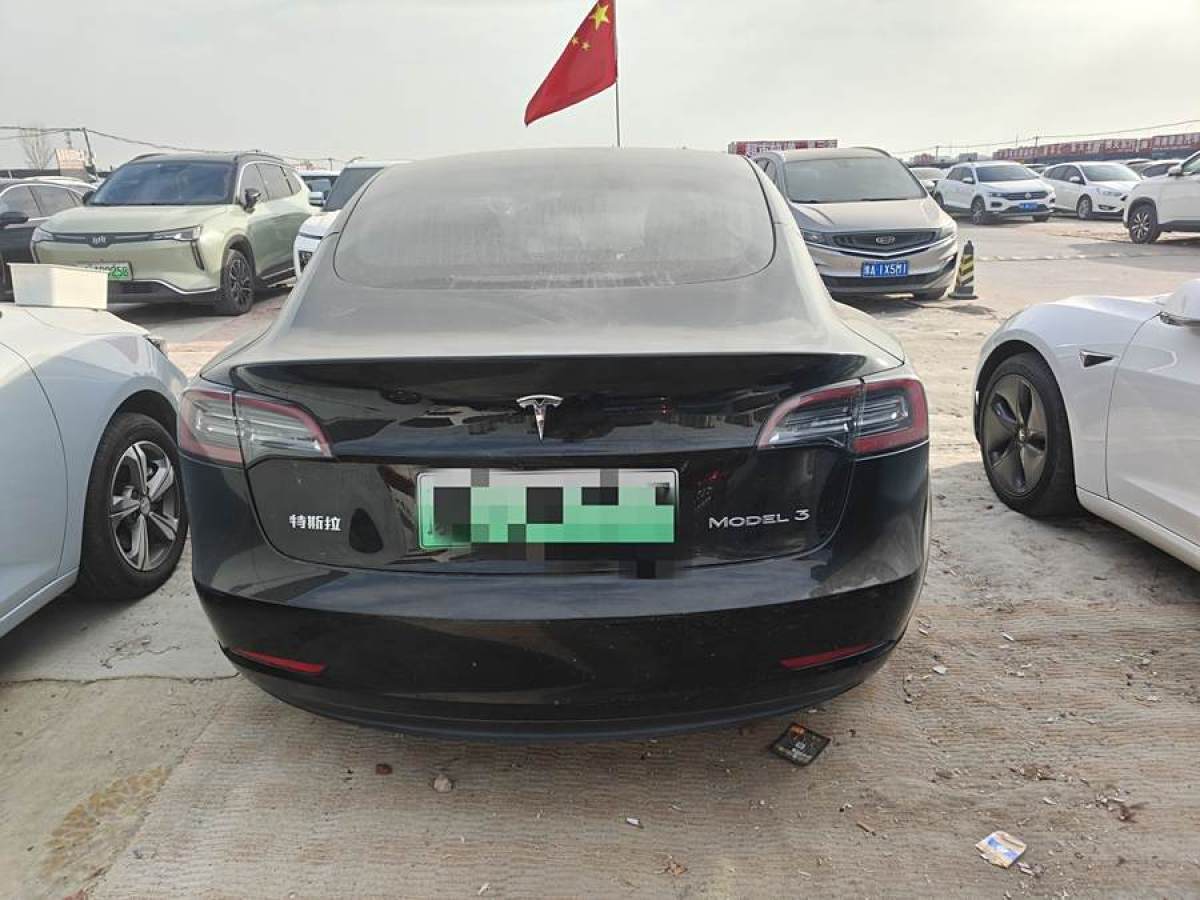 特斯拉 Model 3  2020款 改款 長續(xù)航后輪驅動版圖片