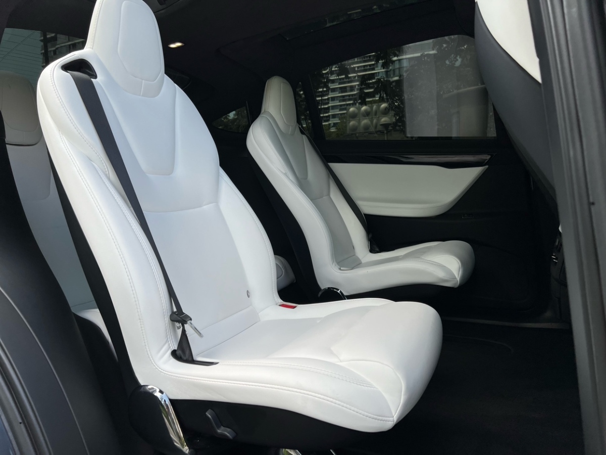 特斯拉 Model X  2020款 長續(xù)航升級版圖片