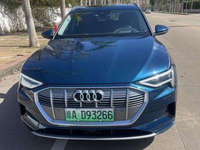 2021年1月 奥迪 奥迪SQ5(进口) 3.0 TFSI quattro图片