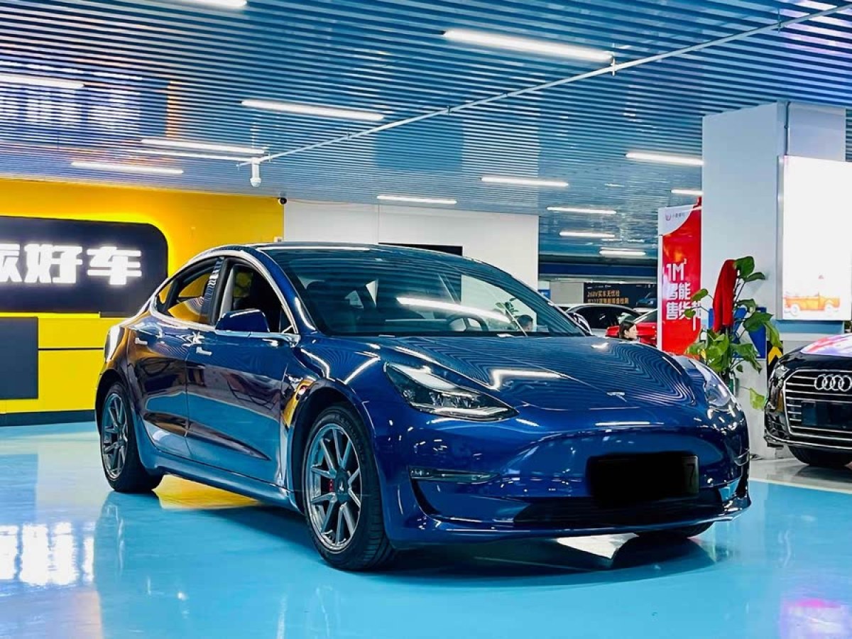 特斯拉 Model 3  2020款 改款 長續(xù)航后輪驅(qū)動版圖片