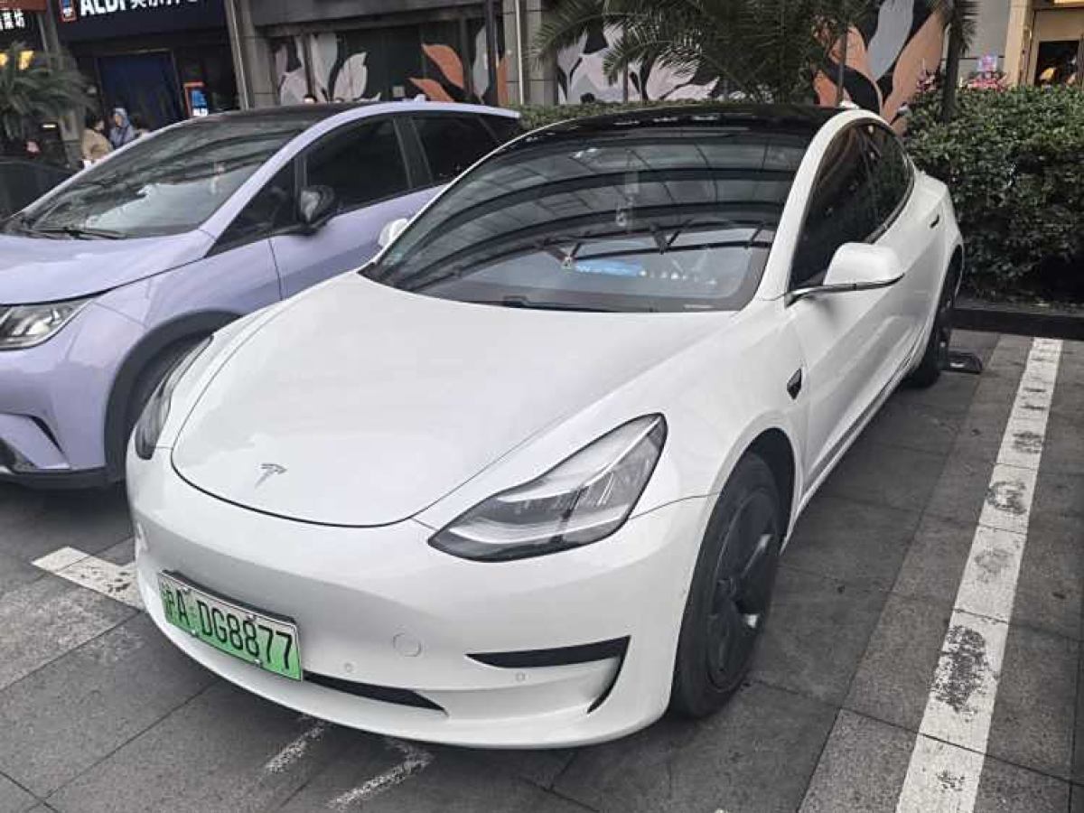 2020年8月特斯拉 Model 3  2020款 改款 標(biāo)準(zhǔn)續(xù)航后驅(qū)升級(jí)版