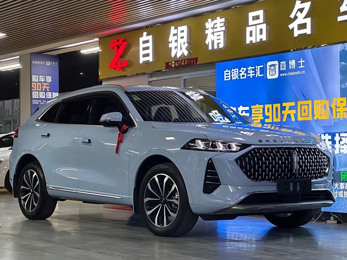 長(zhǎng)城 摩卡  2021款 2.0T 兩驅(qū)特濃版圖片