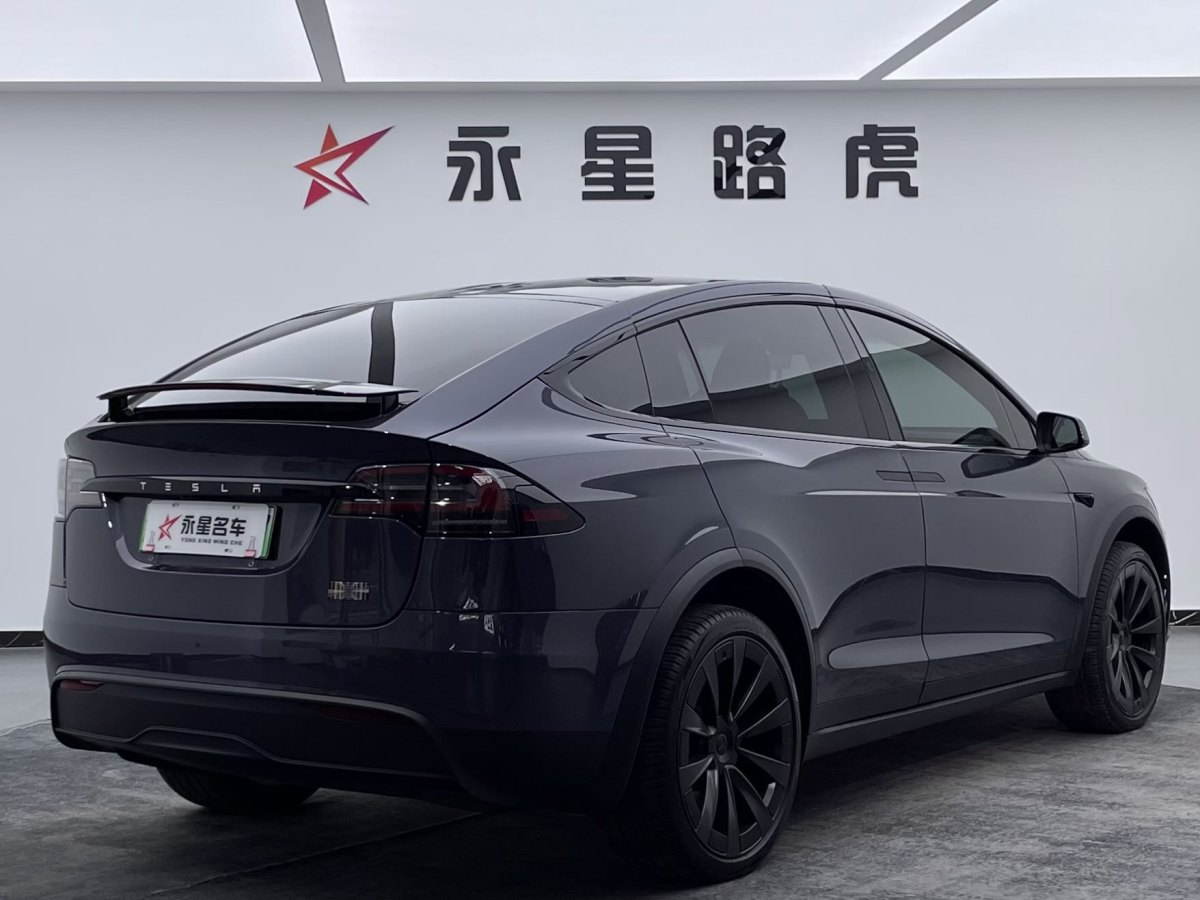 特斯拉 Model X  2023款 三電機(jī)全輪驅(qū)動(dòng) Plaid版圖片