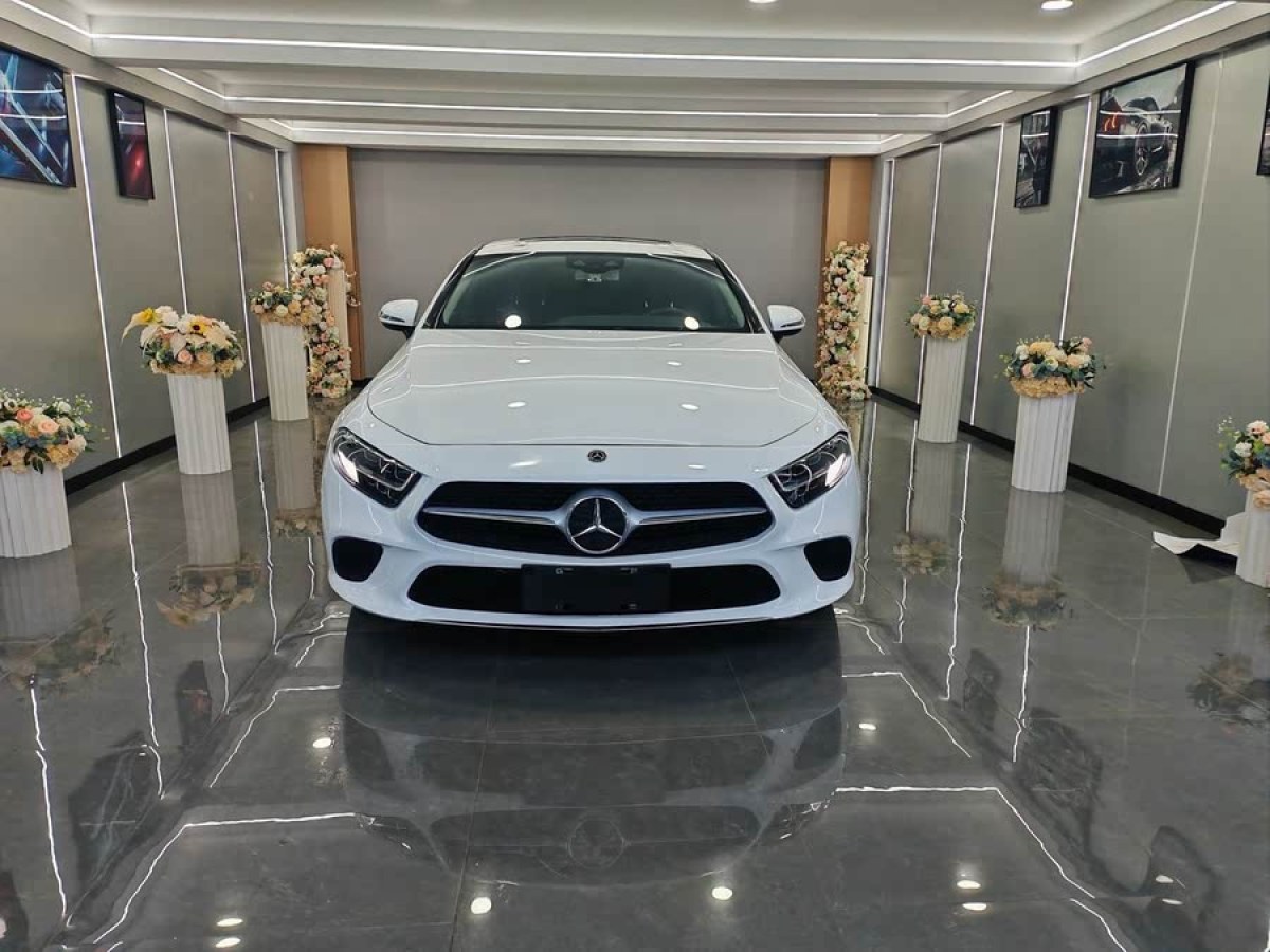 奔馳 奔馳CLS級(jí)  2018款 CLS 300 動(dòng)感型圖片