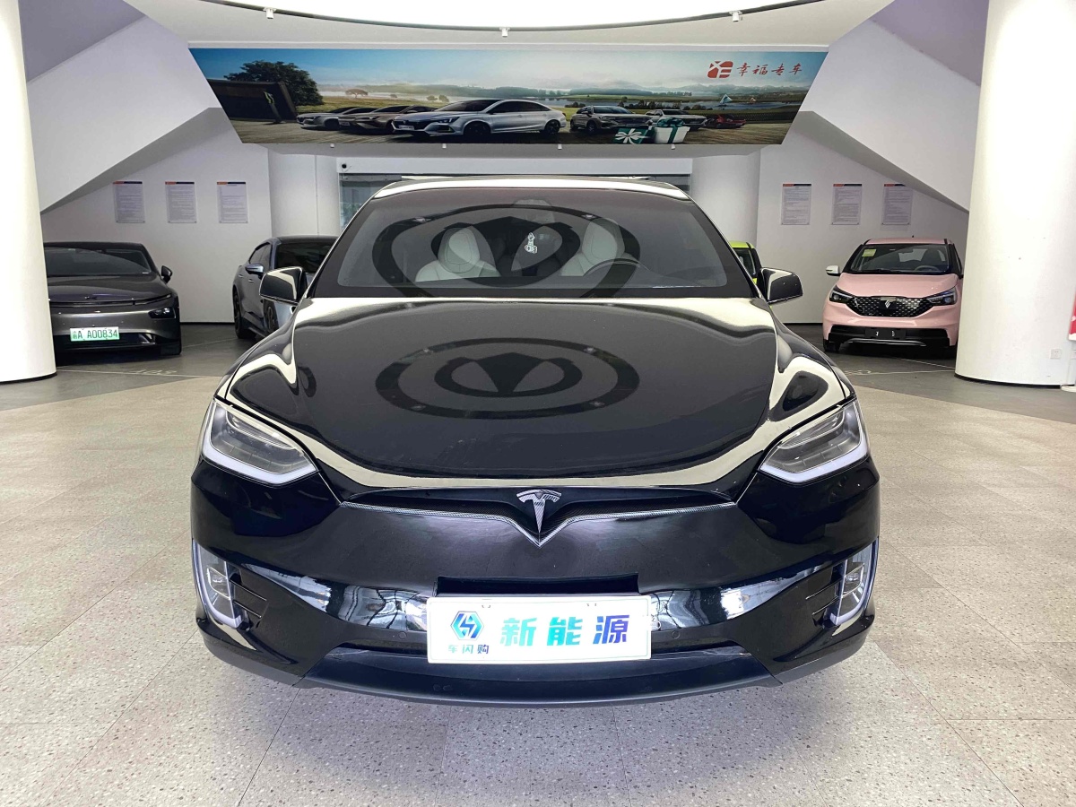 特斯拉 Model X  2017款 Model X 100D 長續(xù)航版圖片
