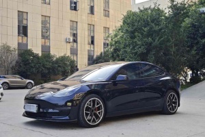 Model 3 特斯拉 改款二 Performance高性能全輪驅(qū)動版