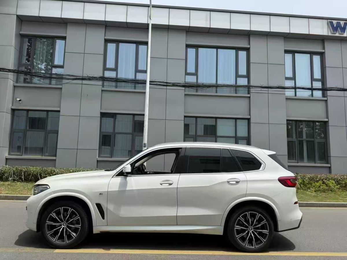 寶馬 寶馬X5  2019款 xDrive30i X設(shè)計(jì)套裝圖片