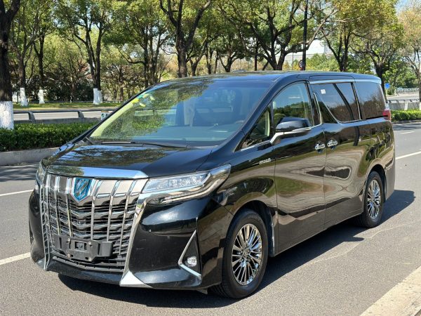 丰田 埃尔法  2020款 双擎 2.5L 豪华版