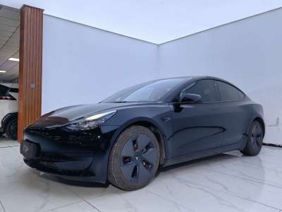 2022年1月 特斯拉 Model 3 改款 标准续航后驱升级版图片