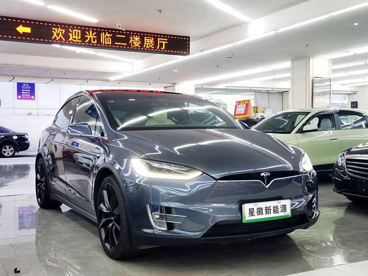 特斯拉 Model X  2020款 長續(xù)航升級(jí)版圖片